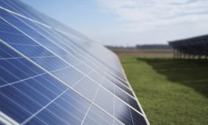 Senado dá aval ao projeto de transição energética.