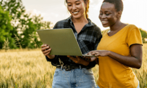 Em 2024, o agro brasileiro gerou 28,2 milhões de empregos, com destaque para agroindústrias e agrosserviços.