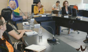 Representantes dos ministérios debatem soluções para energia e irrigação nas áreas agrícolas