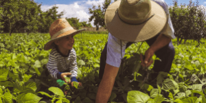 O Que Realmente Tira o Sono do Produtor Rural da Classe Média