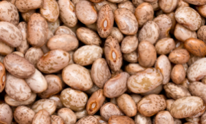  A escassez de feijão carioca tem gerado disputa entre compradores e elevado os preços.