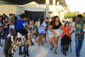 Foto da Expo Itaitinga com expositores e animais