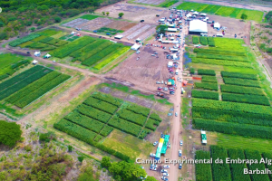 Feira Expocariri em Barbalha reúne produtores e tecnologias
