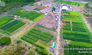 ExpoCariri 2025 reúne empresas e produtores em um ecossistema de inovação agro e empreendedorismo rural.