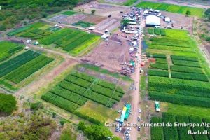 Empresas e instituições apresentam soluções de inovação agro durante a ExpoCariri 2025 no Ceará.