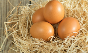 Exportação de ovos cresce e fortalece o agronegócio brasileiro.