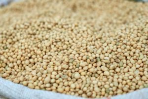 Novembro registra o segundo maior volume de exportações do agronegócio na série histórica.