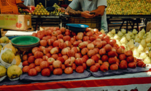 Melão, melancia e limão lideram as exportações de frutas brasileiras em 2025.