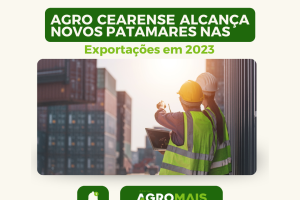 Agro Cearense Alcança Novos Patamares nas Exportações em 2023