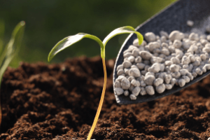 Navio transportando fertilizantes em região afetada por conflitos