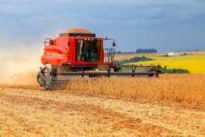 A resiliência do agro paranaense é evidente, com a maior parte das lavouras de soja em boas condições após o período de chuvas intensas de novembro.