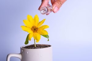 Água, Semente da Vida: Transformando o Semiárido Potiguar com Inovação e Sustentabilidade