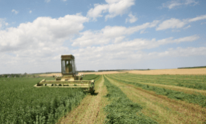 Evento técnico em Canindé apresenta programas de inovação no agro