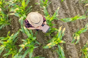 As novas profissões do agro e o impacto da tecnologia na Agropecuária