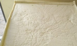 Tauá se consagra com o maior queijo de cabra do Brasil durante a Festberro