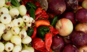 Caminhões transportam produtos agrícolas, destacando a importância da logística para o setor.
