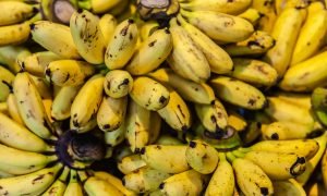 Fresh ripe organic Banana on silver aluminum background. Bright yellow ripe bananas to eat on the silver aluminum table