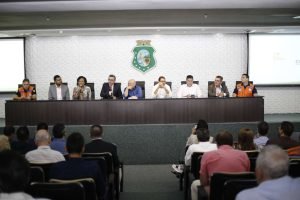 Regiões do Ceará registram volumes abaixo da média durante a quadra chuvosa, colocando culturas de sequeiro e pastagens em situação de alerta.
