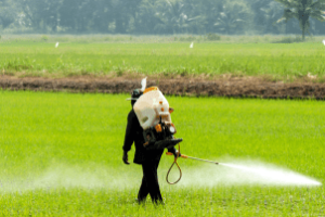 Aplicação de fungicidas no campo com trator pulverizador