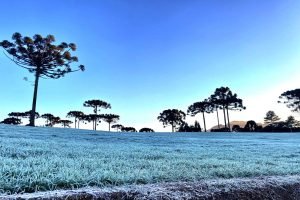 Frente fria avança pelo Brasil e acende novo alerta para geadas em áreas produtoras