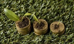 A Relevância da Gestão Empresarial no Agronegócio – Por: Fabiano Mapurunga