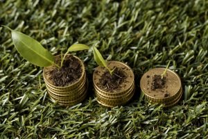 A Relevância da Gestão Empresarial no Agronegócio – Por: Fabiano Mapurunga