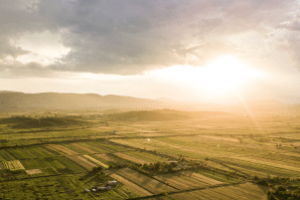 Representação da vocação agrícola brasileira