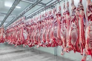 EUA ampliam compras de carne do Brasil com México fora 