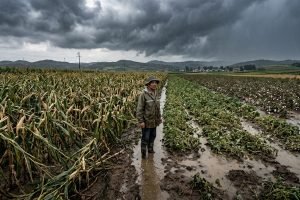 Clima extremo ameaça safra da China e importações agrícolas