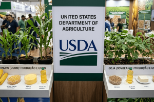 USDA de agosto: guia completo da soja e milho com lente nordestina