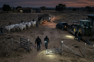 Segurança no campo nordestino — o que o produtor cearense aprende com o modelo da Faesp de redes de prevenção, tecnologia e integração com a Patrulha Rural