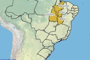 China compra dos EUA em agosto e volta ao Brasil em outubro — por que a safra do MATOPIBA nordestino está na janela certa da demanda chinesa