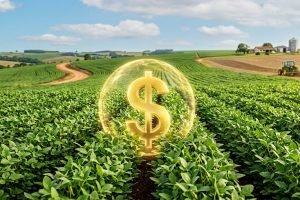Seguro rural pode ter R$ 1,2 bi em 2027, abaixo da necessidade