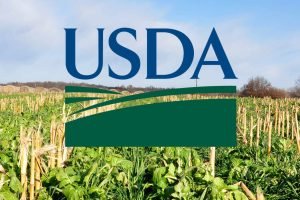 USDA de 12/08: o que esperar e como o nordestino usa o relatório