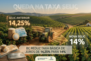 Selic a 14%: a trajetória de queda que o campo nordestino espera