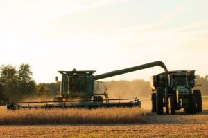 Soja brasileira ficou momentaneamente mais cara que a americana — quando o diferencial se reverte, o que o produtor nordestino monitora e como usar o USDA de 12/08 para a decisão final