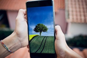 Agronegócio Acelera Inovação com Tecnologias em Nuvem