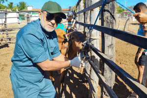 Inquérito Soroepidemiológico Confirma Ceará Livre de Febre Aftosa