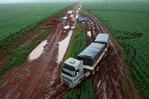 Alta do diesel pressiona fretes, operações de campo e margens de toda a cadeia produtiva.