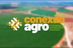 Técnicos e agricultores se reuniram em Iguatu para troca de orientação sobre manejo, crédito rural e políticas públicas voltadas ao campo cearense.