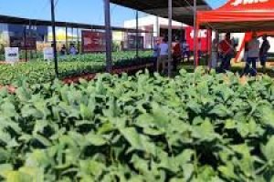Licitaben amplia conexão entre empresas e agricultura familiar