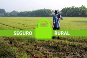Seguro Rural sofre corte de R$ 56,2 milhões, preocupante diante do El Niño