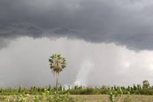 Calor e chuvas irregulares exigem ajustes no manejo agrícola no Ceará.