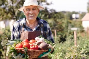 Inovações Tecnológicas Revolucionam o Agronegócio Brasileiro