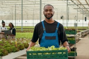 Desafios e Oportunidades na Exportação de Produtos Agropecuários