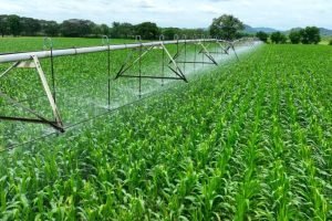 : Irrigação inteligente abre mercado de tecnologia no MATOPIBA