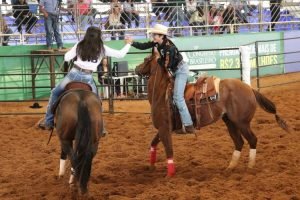 Ranch sorting: esporte equestre que mais cresce no Brasil chega à Agro Tauá