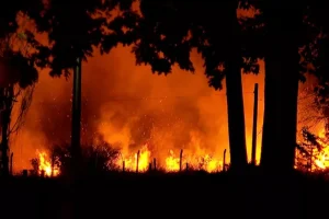 FPA Defende Punições Mais Rígidas para Combate a Incêndios