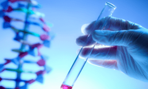 Painel do CBSoja debate futuro da produção global de soja