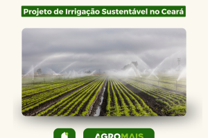 Projeto de Irrigação Sustentável é Implementado em Comunidades Rurais do Ceará